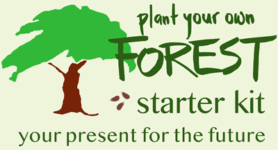 forest starter kit banner